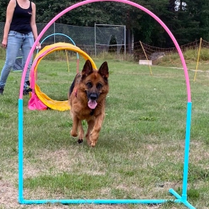 Hoopers